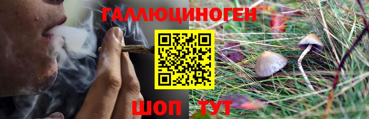 Кингисепп  Галлюциногенные грибы ЛСД  Вход с VPN 