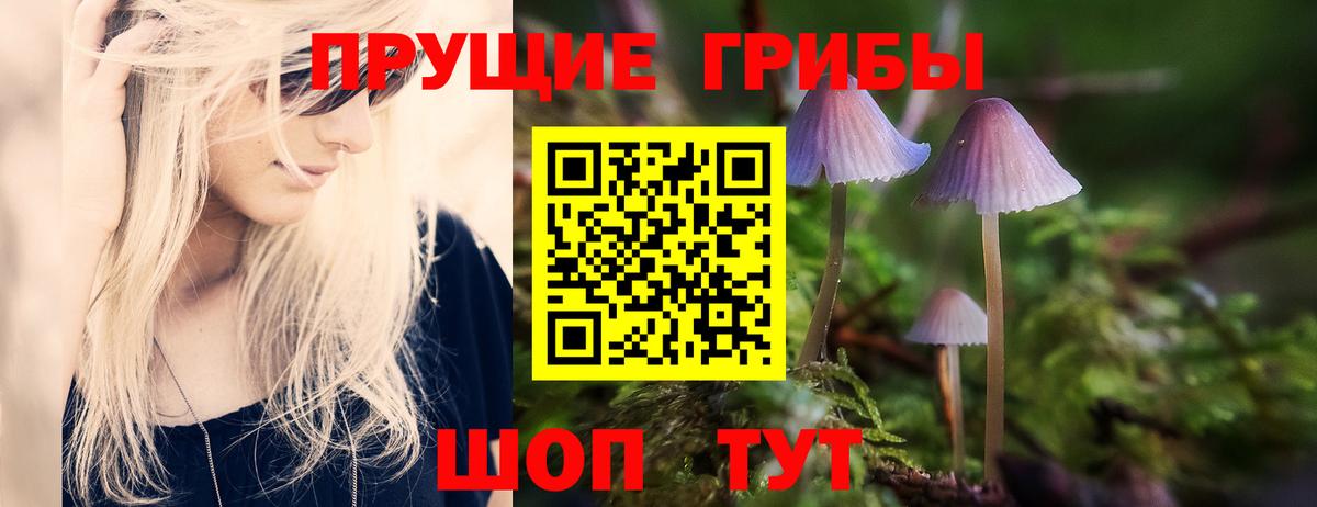 Псилоцибиновые грибы MAGIC MUSHROOMS Кингисепп